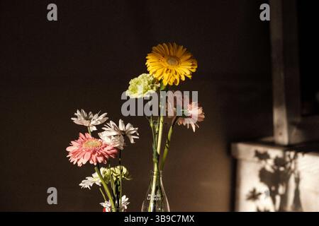 Floral Glow in Golden Hour Stockfoto