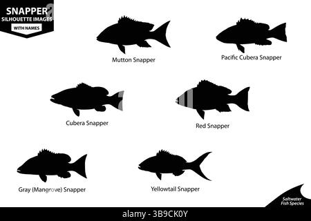 Schnapper Fisch Silhouette Vektor-Set | Hammel, Rot, Cubera, Grau, Gelbschwanz Und Mehr Stock Vektor