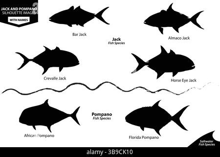 Jack and Pompano Fish Silhouette Vektor-Set | Salzwasserarten-ID-Diagramm Stock Vektor