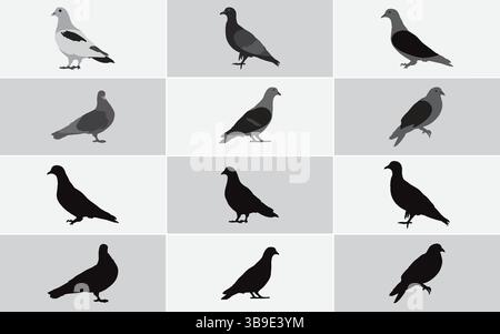 Silhouette und farbige Tauben-Illustrationen – minimalistische Bird Clipart-Kollektion für Natur-, Wildtier- und urbane Tiermotive Stock Vektor