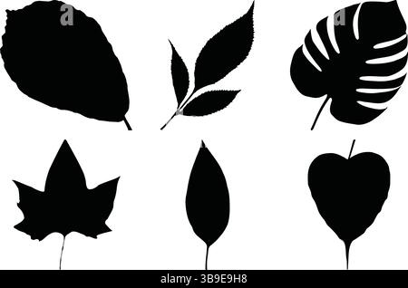 Set aus sechs verschiedenen Blattsilhouetten, die verschiedene Pflanzenarten repräsentieren, ideal für botanische Designs, Naturthemen und umweltbezogene Grafiken Stock Vektor