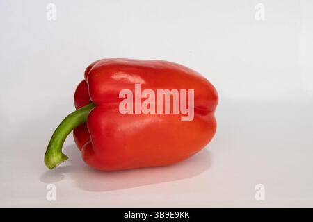 Frische rote Paprika isoliert auf weißem Hintergrund. Stockfoto