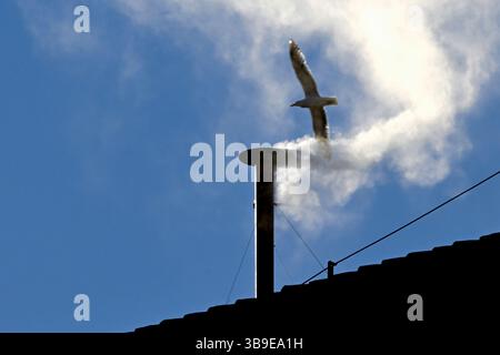 Italien. Mai 2025. Weißer Rauch ist über der Sixtinischen Kapelle zu sehen und signalisiert, dass die Kardinäle am Donnerstag, den 8. Mai 2025, einen neuen Papst in Vatikanstadt gewählt haben. Nach zwei Tagen wählte das Kardinalkonklave Kardinal Robert Francis Provost, der als Papst Leo XIV. Bekannt sein wird, zum 267. Obersten Papst nach dem Tod von Papst Franziskus am Ostermontag. Provost wird der erste amerikanische Papst sein. Foto: Stefano Spaziani/UPI Credit: UPI/Alamy Live News Stockfoto