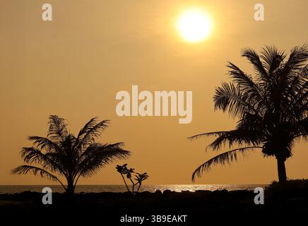 Wunderschöner Sonnenaufgang über dem Golf von Thailand mit Silhouette von Palmen Stockfoto