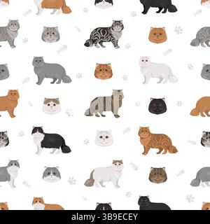 Persische Katze Langhaar Clipart. Moderne persische Katze. Alle Lackfarben festgelegt. Infografik zu den Merkmalen aller Katzenrassen. Vektorabbildung Stock Vektor
