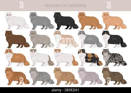 Persische Katze Langhaar Clipart. Moderne persische Katze. Alle Lackfarben festgelegt. Infografik zu den Merkmalen aller Katzenrassen. Vektorabbildung Stock Vektor