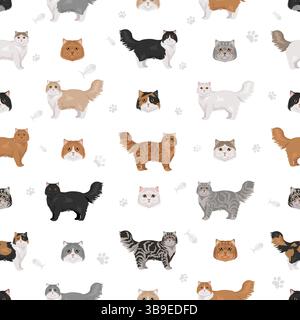 Persische Katze Langhaar Clipart. Traditionelle klassische persische Katze. Alle Lackfarben festgelegt. Infografik zu den Merkmalen aller Katzenrassen. Vektorillustr Stock Vektor