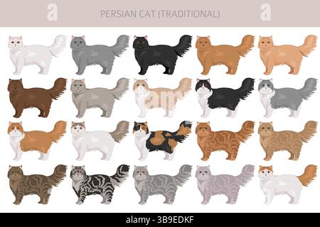Persische Katze Langhaar Clipart. Traditionelle klassische persische Katze. Alle Lackfarben festgelegt. Infografik zu den Merkmalen aller Katzenrassen. Vektorillustr Stock Vektor
