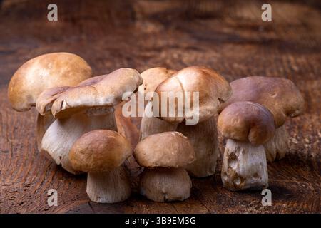 Porcini-Pilze auf rustikalem Holz Stockfoto