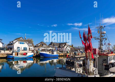 Fischerboote im Hafen von Vitte auf der Insel Hiddensee. Stockfoto