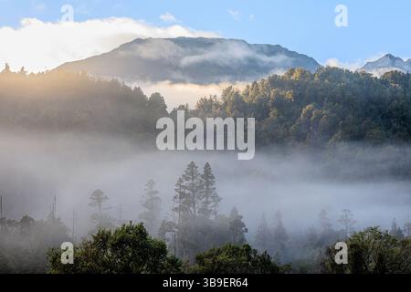 Malerische Landschaft mit niedrigem Nebel, der um Bäume im Tal hängt, mit den Bergen der südlichen alpen neuseelands im Hintergrund Stockfoto