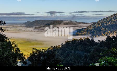 Blick hinunter über ein nebelbedecktes grünes Tal mit Inseln von Bäumen bedeckten Hügeln am frühen Morgen in den südlichen alpen neuseelands Stockfoto
