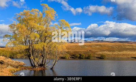 Malerische Landschaft des Lake mcgregor neuseeland an hellen Wolken über Bergen in der Ferne und großen herbstlichen Bäumen an der Küste Stockfoto
