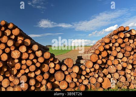 Holzhaufen am Wegesrand in der Region Holledau Stockfoto