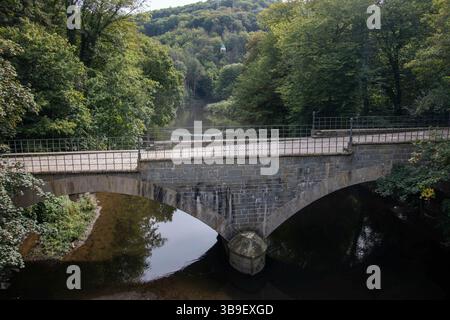 Alte Steinbogenbrücke über die wupper in Solingen Stockfoto