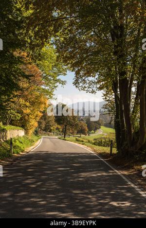 Landstraße im Herbst Stockfoto