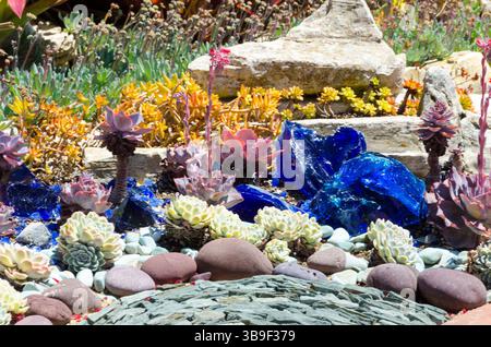 Sukkulenten und Scherben im Garten Stockfoto