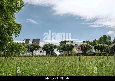 Rheinwiesen Kölner Riviera Stockfoto