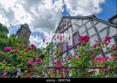 Historisches Fachwerkhaus und Turm in Bacharach Stockfoto