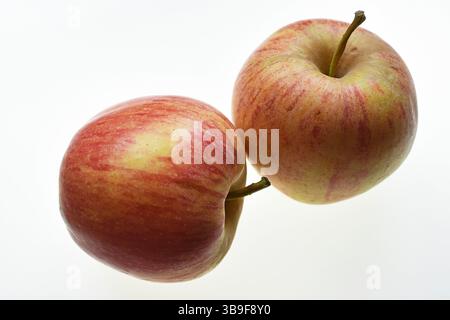 Zwei Bio-Äpfel auf weißem Hintergrund Stockfoto