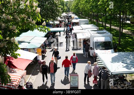 Dresden, Deutschland. Mai 2025. Die Leute laufen zwischen den Verkaufsständen am Lingnermarkt. Quelle: Sebastian Kahnert/dpa/Alamy Live News Stockfoto