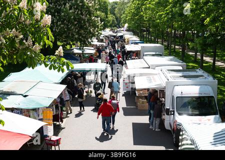 Dresden, Deutschland. Mai 2025. Die Leute laufen zwischen den Verkaufsständen am Lingnermarkt. Quelle: Sebastian Kahnert/dpa/Alamy Live News Stockfoto