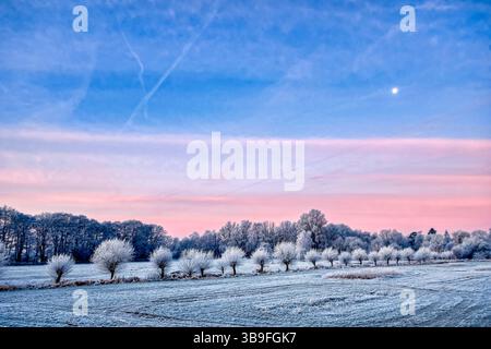 Wintermorgen mit Raureif-bedeckten bestäubten Weiden in der Hunteniederung bei Oldenburg Stockfoto