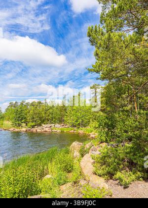Ostseeküste mit Felsen und Bäumen in der Nähe von Figeholm in Schweden Stockfoto