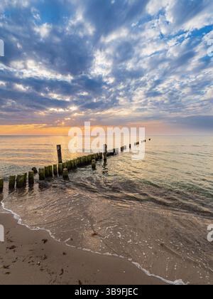 Groynes an der Ostseeküste bei Graal Müritz Stockfoto