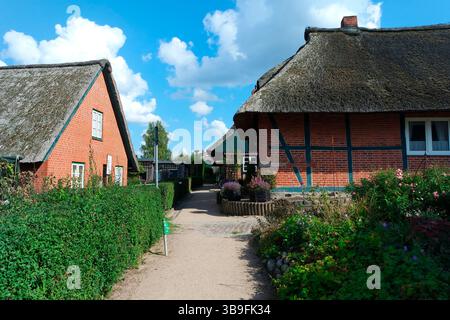 Gothmund, Fischerdorf auf der Trave Stockfoto