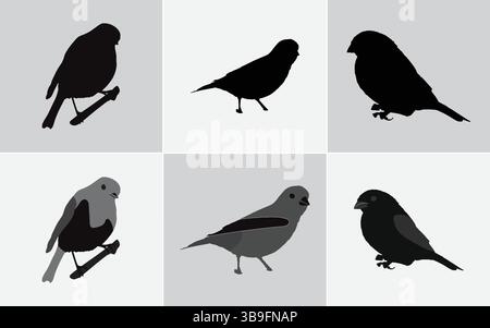 Silhouette und farbige Tauben-Illustrationen – minimalistische Bird Clipart-Kollektion für Natur-, Wildtier- und urbane Tiermotive Stock Vektor