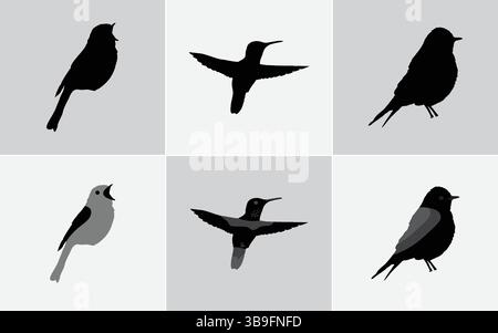 Silhouette und farbige Tauben-Illustrationen – minimalistische Bird Clipart-Kollektion für Natur-, Wildtier- und urbane Tiermotive Stock Vektor