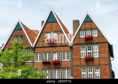 Wunderschöne historische Fachwerkfassaden in Münster Stockfoto