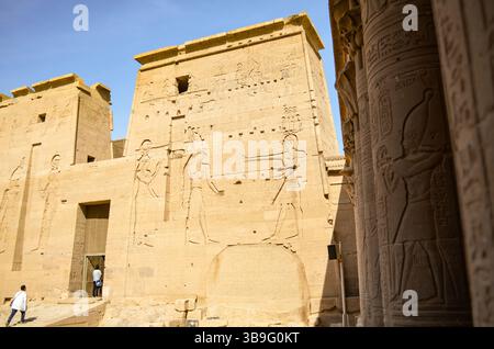 Antike ägyptische Säulen und Schnitzereien im Tempel von Philae in Assuan Stockfoto