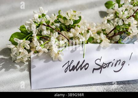 Elegante Kirschblüten liegen auf einer strukturierten Oberfläche neben einer handgeschriebenen Hello Spring-Karte. Fängt das Wesen der Erneuerung und saisonalen Schönheit ein. Stockfoto
