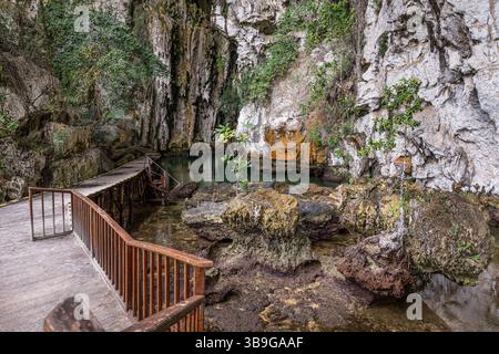 Eine malerische Promenade schlängelt sich durch eine Höhle, umgeben von üppigem Laub und felsigem Gelände in Indonesien. Das ruhige Wasser und die zerklüfteten Klippen sorgen für Ruhe Stockfoto