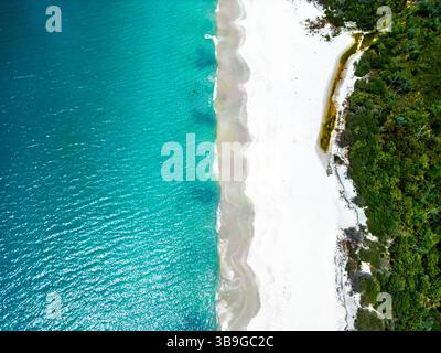 Ein atemberaubender Blick aus der Luft auf einen ruhigen Strand mit türkisfarbenem Wasser, sanft geschwungen entlang unberührtem weißen Sand, umgeben von einem üppigen, grünen Meer Stockfoto
