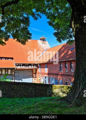 Europa, Deutschland, Hessen, Marburger Land, Weißstorch (Ciconia ciconia), Storchennest auf dem Dach eines Bauernhofes Stockfoto
