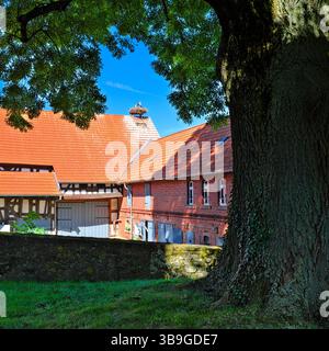 Europa, Deutschland, Hessen, Marburger Land, Weißstorch (Ciconia ciconia), Storchennest auf dem Dach eines Bauernhofes Stockfoto