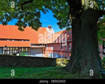 Europa, Deutschland, Hessen, Marburger Land, Weißstorch (Ciconia ciconia), Storchennest auf dem Dach eines Bauernhofes Stockfoto