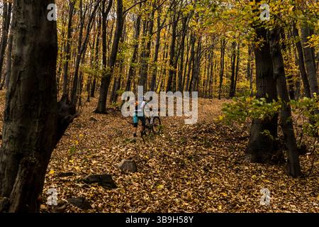 Mountainbike-Tour im Herbst in Mecsek, Pecs, Ungarn Stockfoto