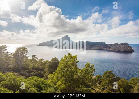 Blick vom Wanderweg zum Nordkap von Sa Dragonera mit dem Leuchtturm Far de Tramuntana, Sant Elm, Mallorca, Balearen, Spanien Stockfoto