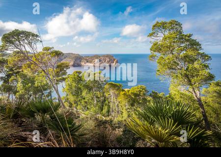 Blick vom Wanderweg zum Nordkap von Sa Dragonera mit dem Leuchtturm Far de Tramuntana, Sant Elm, Mallorca, Balearen, Spanien Stockfoto