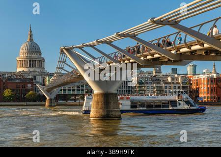 Blick über die Themse zur St Paul's Cathedral und Millennium Bridge, London, England, Großbritannien Stockfoto