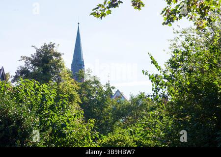 St. Martin's Church, Nienburg/Weser, Niedersachsen, Deutschland, Europa Stockfoto