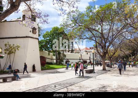Die Festung von São de Palácio Lourenco aus dem 16. Jahrhundert und die Avenue Arriaga im historischen Stadtzentrum von Funchal, Madeira, Portugal. Stockfoto