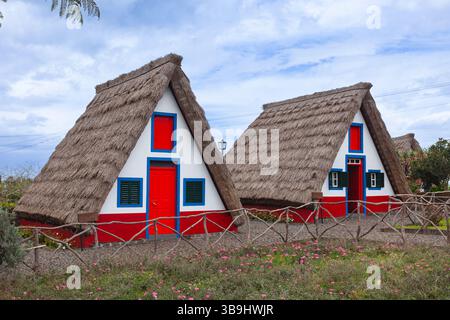 Madeiras traditionelle Häuser (Palheiros) mit ihrem ikonischen Puppenhaus Design, gelegen im kleinen Dorf Santana an der Nordküste von Madeira. Stockfoto