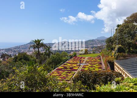 Der botanische Garten Madeira liegt auf dem Hügel von Funchal, mit atemberaubendem Blick über Madeira und den Atlantischen Ozean. Stockfoto