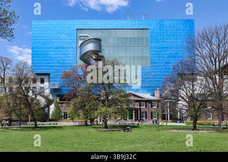 Toronto, Art Gallery of Ontario, Gebäude entworfen von Frank Gehry Stockfoto