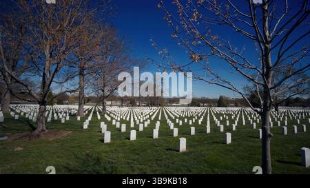WASHINGTON DC, USA - 08. APRIL 2017 - Arlington National Cemetery mit Grabsteinen und Bäumen in Washington DC Stockfoto